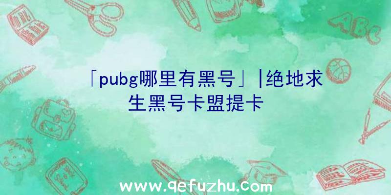 「pubg哪里有黑号」|绝地求生黑号卡盟提卡